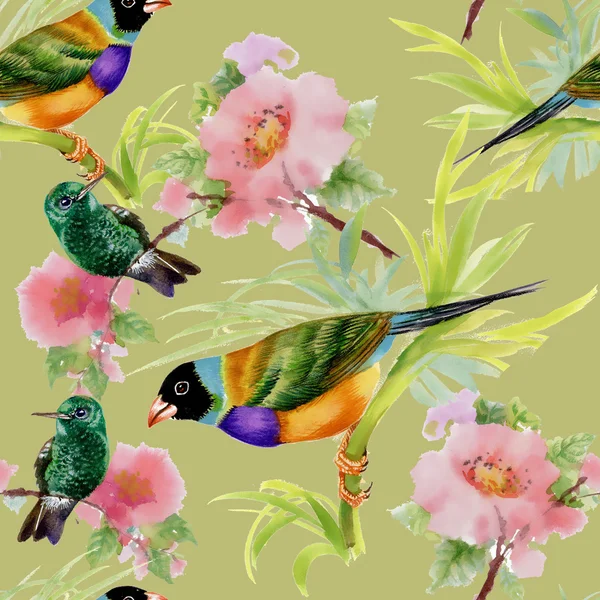 Tropičtí ptáci — Stock fotografie