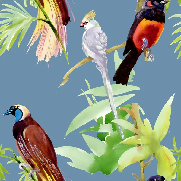 Egzotik kuşlar — Stok fotoğraf