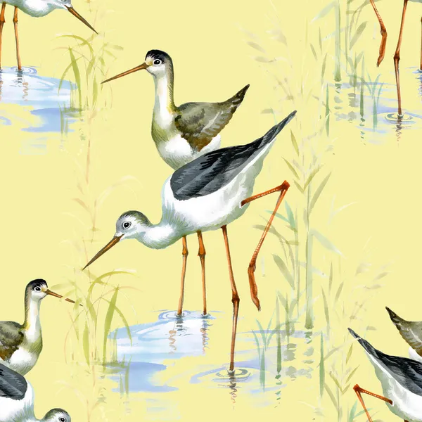 Herons in water — Stock Image Herons in water Stock Image