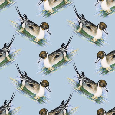 yaban ördekleri ile Seamless Modeli