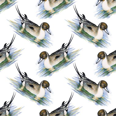 yaban ördekleri ile Seamless Modeli