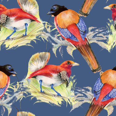 Kuşlar ve çiçekler pürüzsüz desen