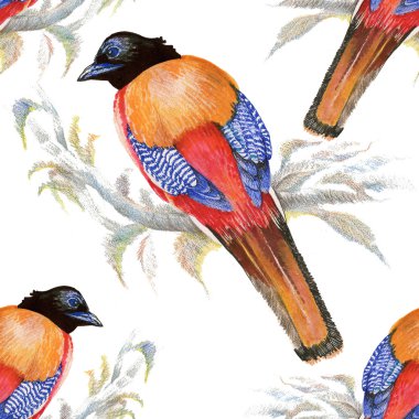 Kuşlar ve çiçekler pürüzsüz desen