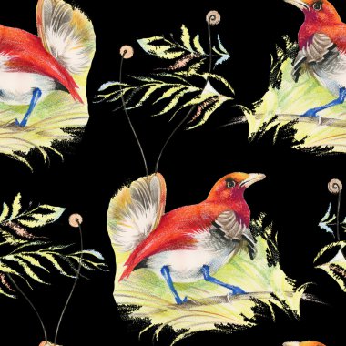 Kuşlar ve çiçekler pürüzsüz desen