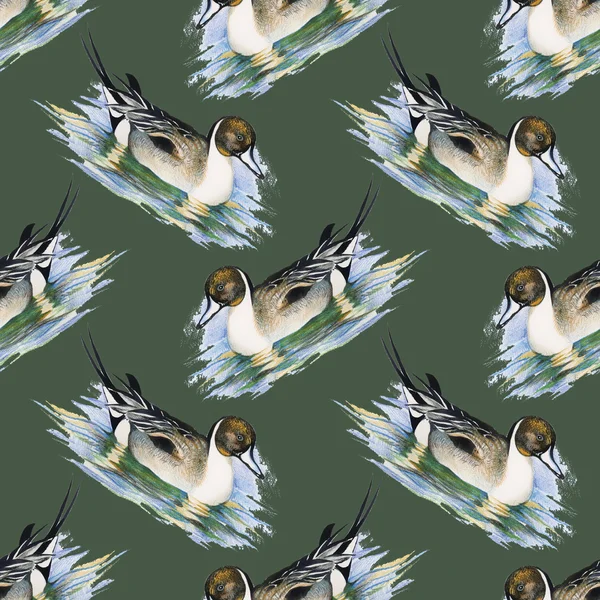 Seamless pattern with Wild ducks — Stock Photo, Image