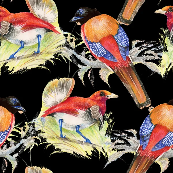 Vogels en bloemen naadloze patroon — Stockfoto