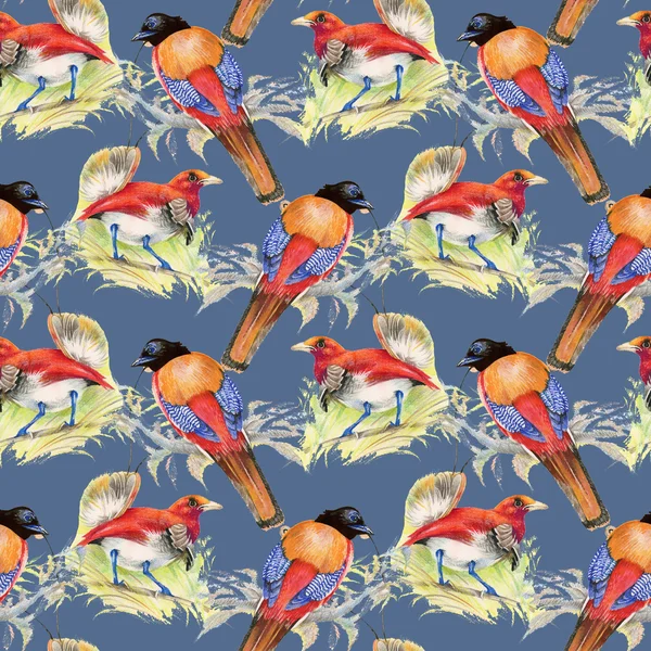 Ptaki i kwiaty wzór — Zdjęcie stockowe