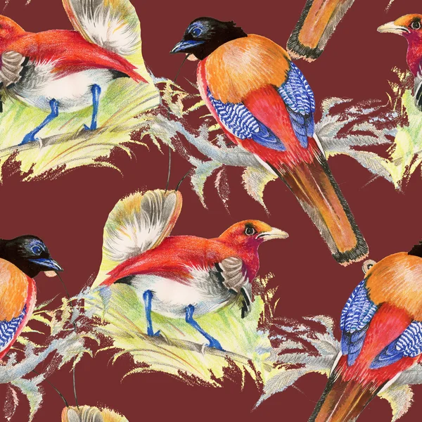 Vögel und Blumen nahtlose Muster — Stockfoto