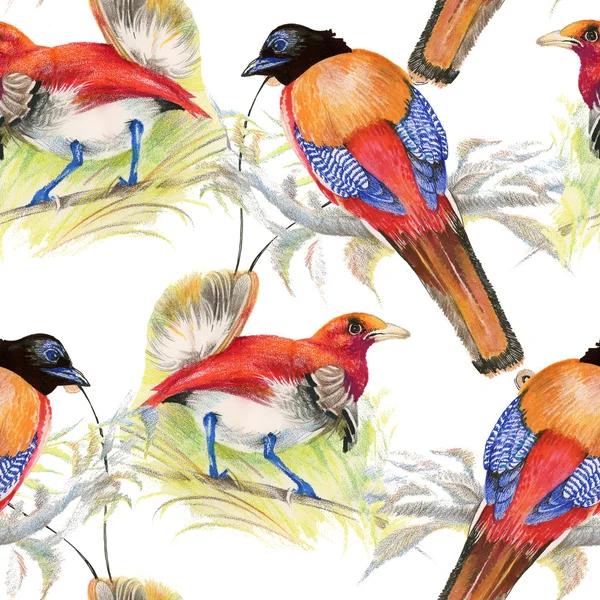 Птицы и цветы бесшовный узор — стоковое фото