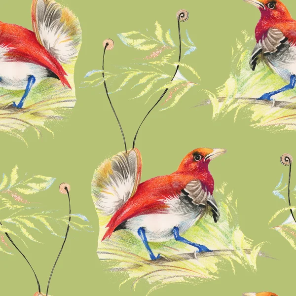 Birds and flowers seamless pattern — Stock Photo, Image