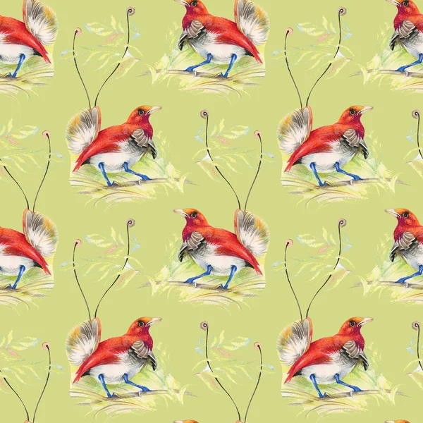 Birds and flowers seamless pattern — Stock Photo, Image