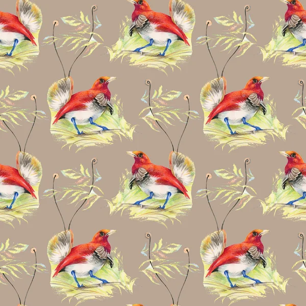 Birds and flowers seamless pattern — Stock Photo, Image