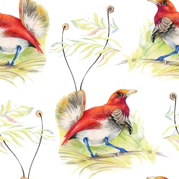Kuşlar ve çiçekler pürüzsüz desen — Stok fotoğraf