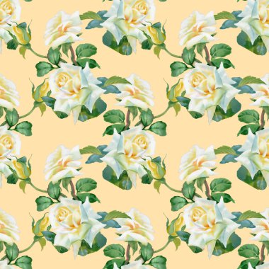 beyaz gül arka plan