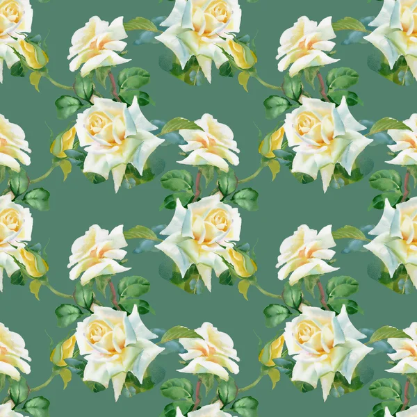 White roses background — Stock Photo, Image