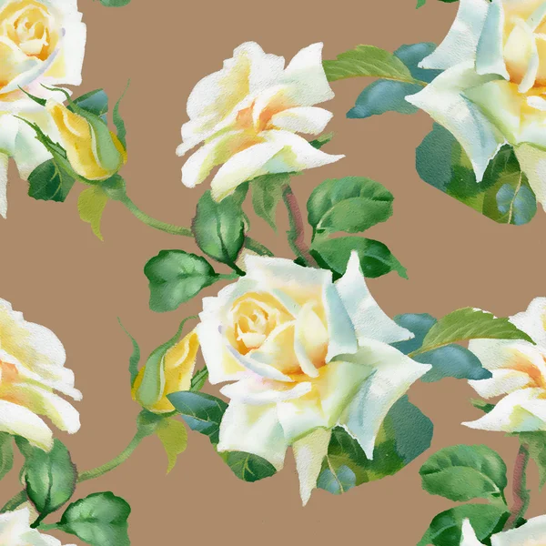 White roses background — Stock Photo, Image