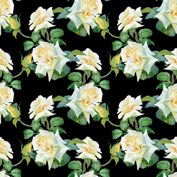 White roses background — Stock Photo, Image