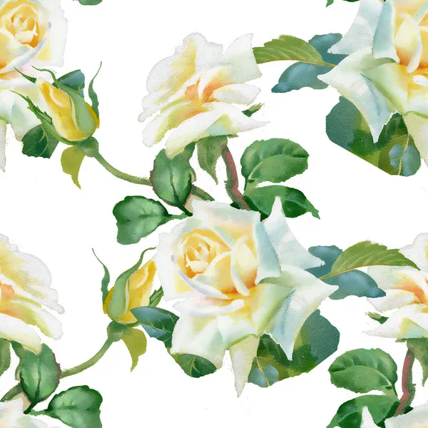 Witte rozen achtergrond — Stockfoto