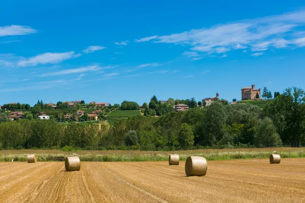 Fabricação de feno em campos italianos — Fotografia de Stock