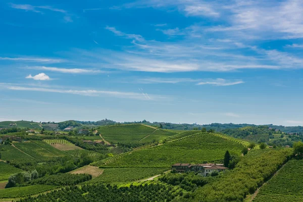 Italienische Weinberge — Stockfoto