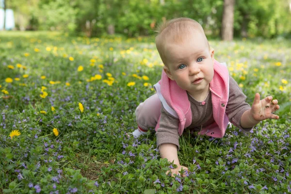 Kleine baby spelen in het park op het gras op een zonnige dag — Stockfoto