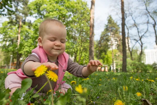 Malé dítě hraje v parku na trávě za slunečného dne — Stock fotografie