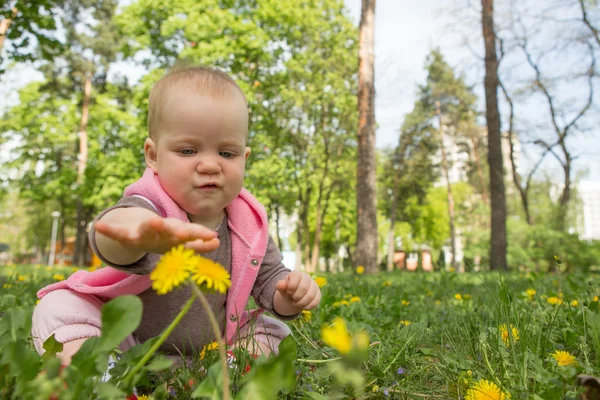 Μωράκι που παίζει στο πάρκο στο γρασίδι σε μια ηλιόλουστη ημέρα — Φωτογραφία Αρχείου