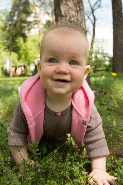 Kleines Baby spielt an einem sonnigen Tag im Park auf dem Rasen — Stockfoto