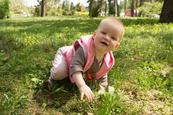 Pequeno bebê brincando no parque na grama em um dia ensolarado — Fotografia de Stock