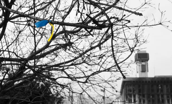 基辅，乌克兰-2014 年 3 月 7 日。乌克兰的革命，euromaidan。天为全国哀悼日杀死 euromaidan 的捍卫者。鲜花和照明的灯具上路障捍卫者 euromaidan — 图库照片