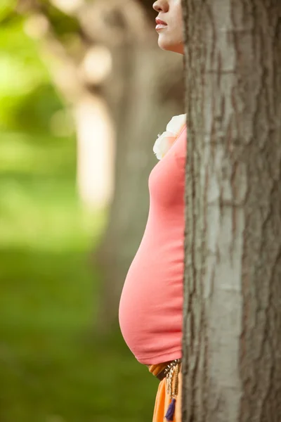 Silhouet van een zwangere vrouw — Stockfoto