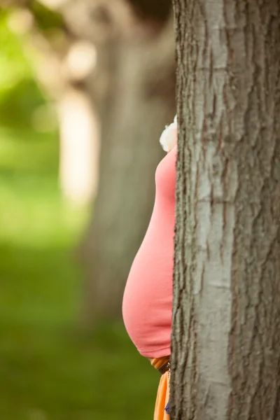 Silhuett av en gravid kvinna — Stockfoto