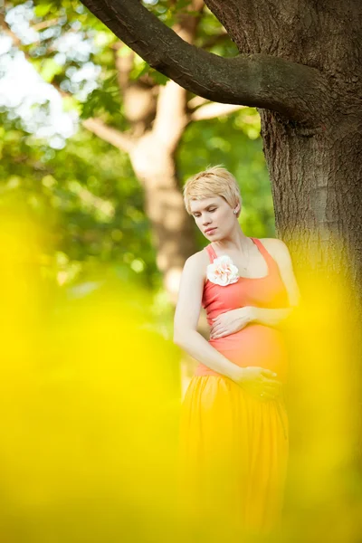 Jeune femme enceinte heureuse se détendre dans la nature — Photo