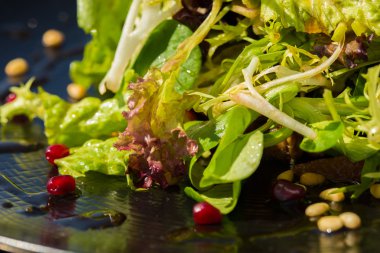 organik sebze ve yeşillikleri salatası