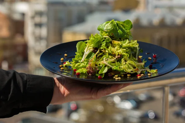 Ensalada ecológica con verduras y verduras — Foto de Stock