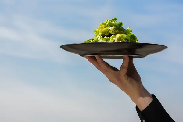 Bio-Salat mit Gemüse und Gemüse — Stockfoto