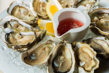 Buz üzerinde taze organik çiğ istiridye tabağı