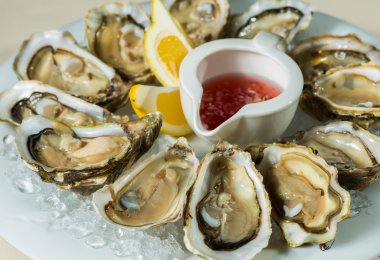 A platter of fresh organic raw oysters on ice clipart