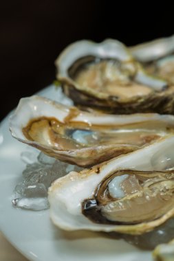 Buz üzerinde taze organik çiğ istiridye tabağı