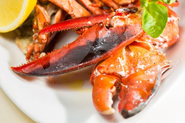 limon dilimleri ile çanak üzerinde organik ıstakoz 