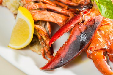 limon dilimleri ile çanak üzerinde organik ıstakoz 