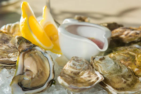 A platter of fresh organic raw oysters on ice — Stock Photo, Image