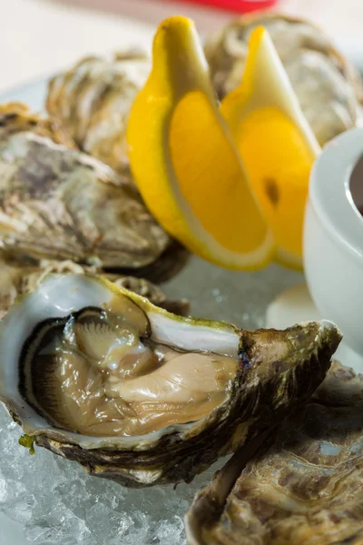 A platter of fresh organic raw oysters on ice — Stock Photo, Image