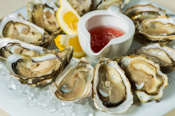 Een schotel van verse organische rauwe oesters op ijs — Stockfoto