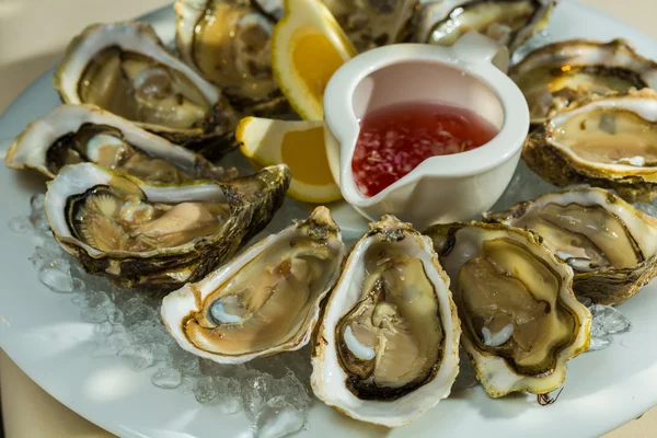 Een schotel van verse organische rauwe oesters op ijs — Stockfoto