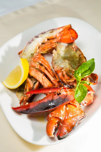 limon dilimleri ile çanak üzerinde organik ıstakoz 