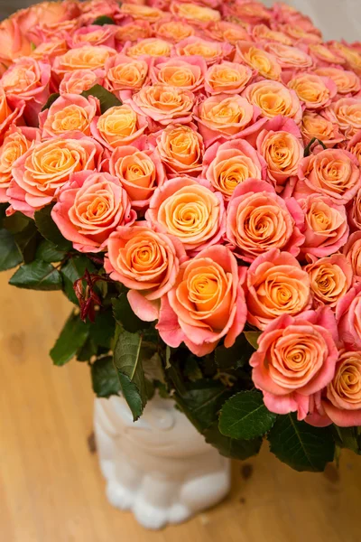 Schöne orange Rose — Stockfoto