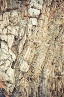 Çok Eski Ahşap Arkaplan