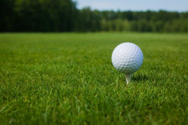 kopya alanı ile golf sahası karşı bir tee Golf topu