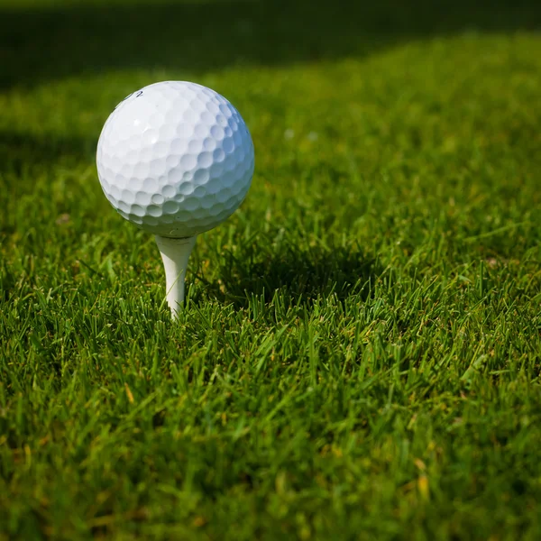 Golfboll på en tee mot golfbanan med kopia utrymme — Stockfoto